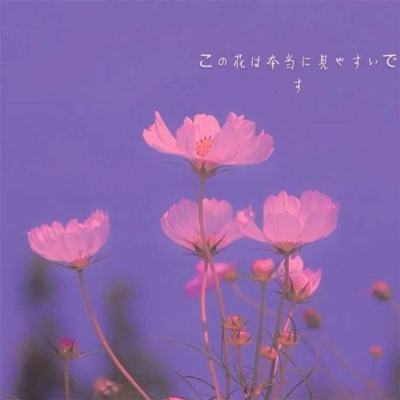 赏金女王免费安卓下载