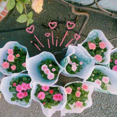 华体会登录手机版下载手机版